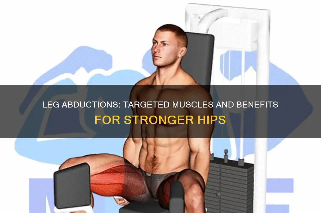 leg-abductions-targeted-muscles-and-benefits-for-stronger-hips-cyvigor