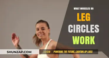 Leg Circles: Targeted Muscles and Benefits for Lower Body Strength