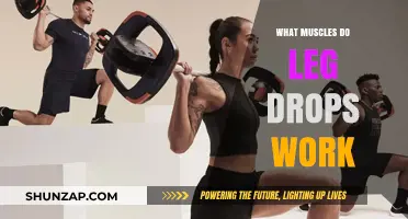 Leg Drops: Targeted Muscles and Benefits for Core Strength