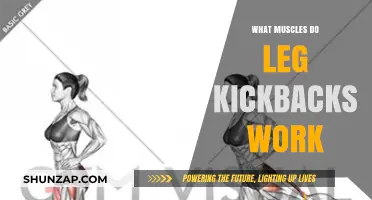 Leg Kickbacks: Targeted Muscles and Benefits for Stronger Glutes and Hamstrings