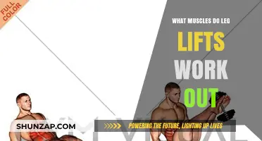 Leg Lifts: Targeting Core, Glutes, and Lower Body Muscles Effectively