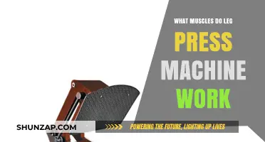 Leg Press Machine: Target Muscles and Benefits Explained