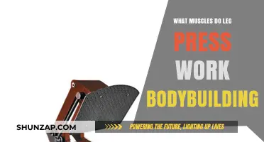 Leg Press Muscles: Targeted Bodybuilding Benefits and Workout Tips