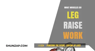 Leg Raises: Targeted Muscles and Core Strengthening Benefits Explained