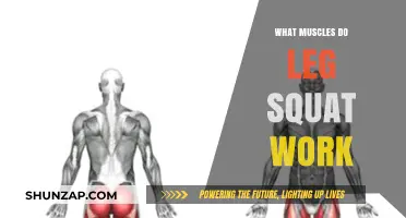 Squat Benefits: Key Muscles Targeted in Leg Squats Explained