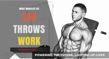Leg Throws: Targeted Muscles and Benefits for Lower Body Strength