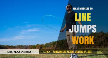 Line Jumps: Target Muscles and Full-Body Benefits Explained