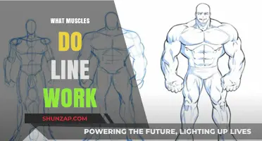 Line Work Muscles: Understanding the Key Players in Precision Artistry