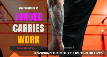 Loaded Carries: Target Muscles and Full-Body Strength Benefits Explained