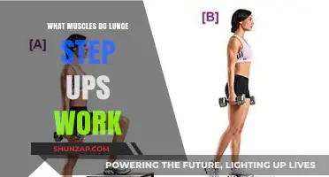 Lunge Step Ups: Targeted Muscles and Full-Body Benefits Explained