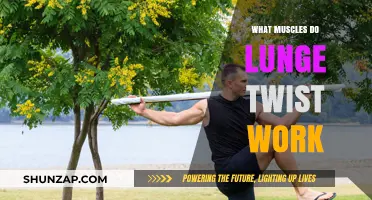 Lunge Twist Muscles: Core, Legs, and Stability Benefits Explained