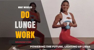 Lunges: Unlocking Lower Body Strength and Muscle Engagement