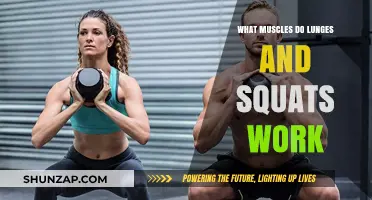 Lunges and Squats: Targeted Muscles for Lower Body Strength