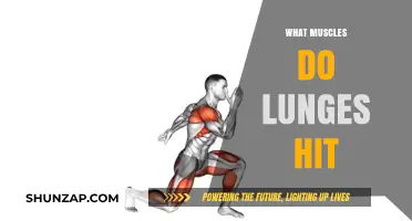 Lunges: Targeting Lower Body Muscles for Strength and Stability