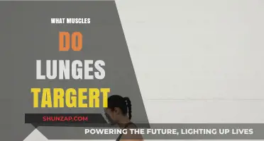 Lunges: Targeting Lower Body Muscles for Strength and Stability