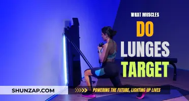 Lunges: Targeting Muscles for a Full-Body Workout