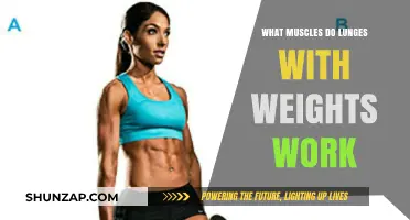 Lunges with Weights: Targeted Muscles and Strength Benefits Explained