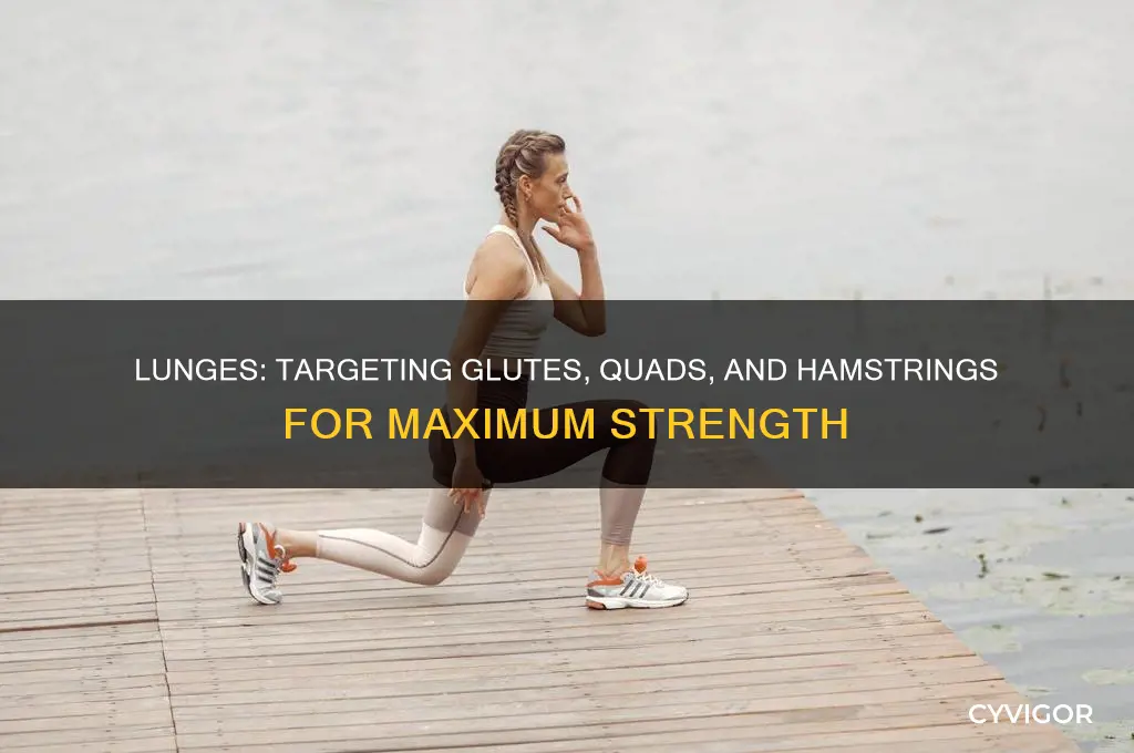 what muscles do lunges work the most
