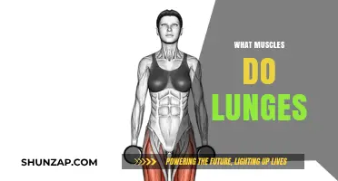 Lunges: Targeting Muscles for Strength and Balance