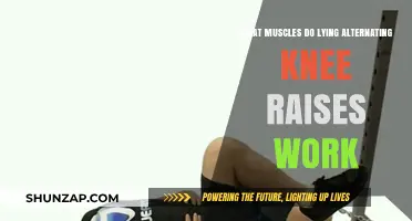 Lying Alternating Knee Raises: Targeted Muscles and Core Benefits Explained