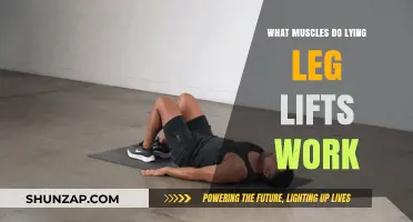 Lying Leg Lifts: Targeted Muscles and Core Strengthening Benefits