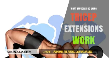 Lying Tricep Extensions: Targeted Muscles and Effective Workout Benefits