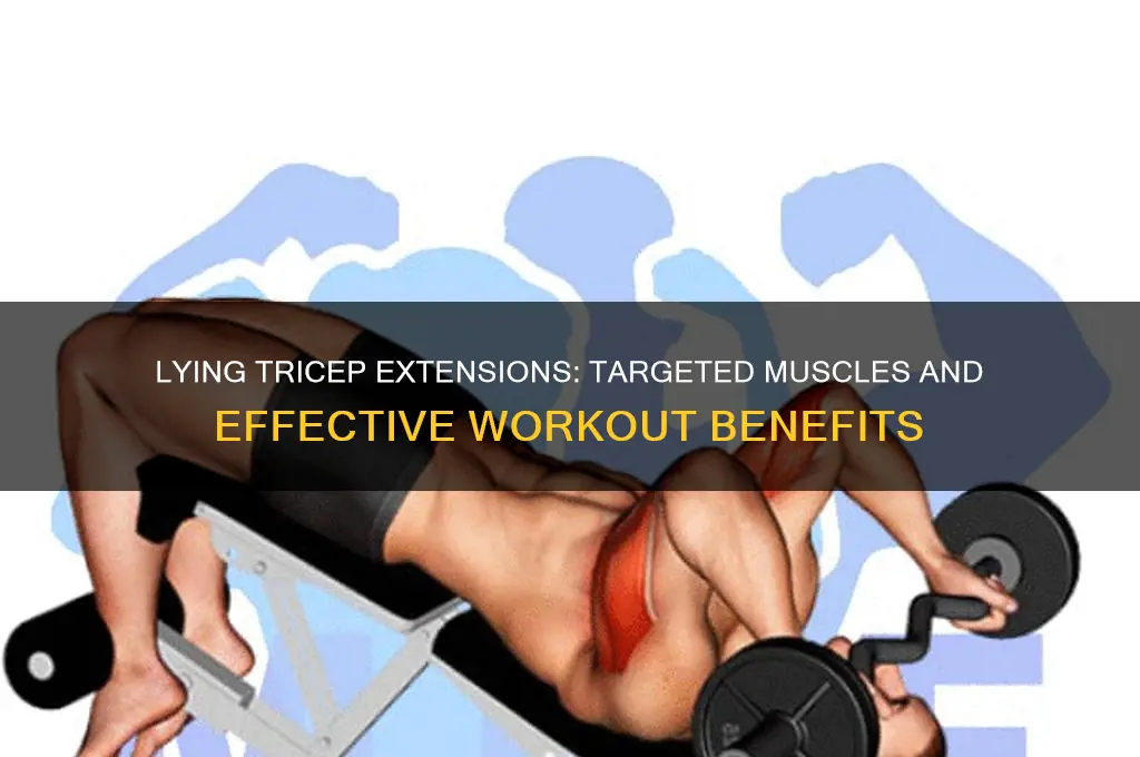 what muscles do lying tricep extensions work