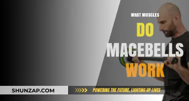 Macebell Workouts: Targeted Muscles and Full-Body Benefits Explained