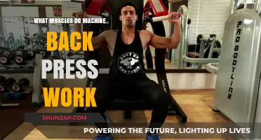 Machine Back Press: Target Muscles and Effective Workout Benefits