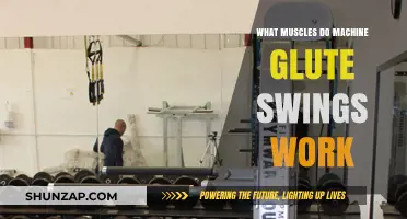Machine Glute Swings: Targeted Muscles and Effective Workout Benefits