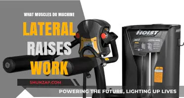 Machine Lateral Raises: Targeted Muscles and Benefits Explained