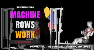 Machine Rows: Target Muscles and Benefits for Strength Training