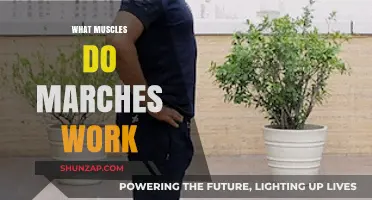 Marches Workout: Targeting Muscles in Your Legs, Core, and Glutes