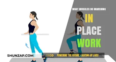 Marching in Place: Target Muscles and Full-Body Benefits Explained