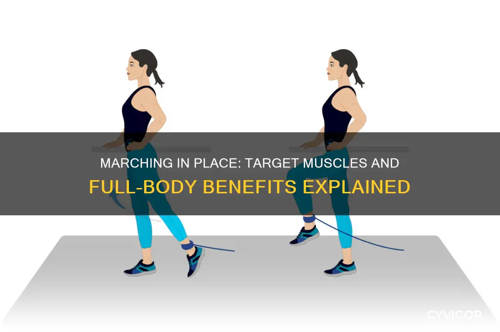 what muscles do marching in place work