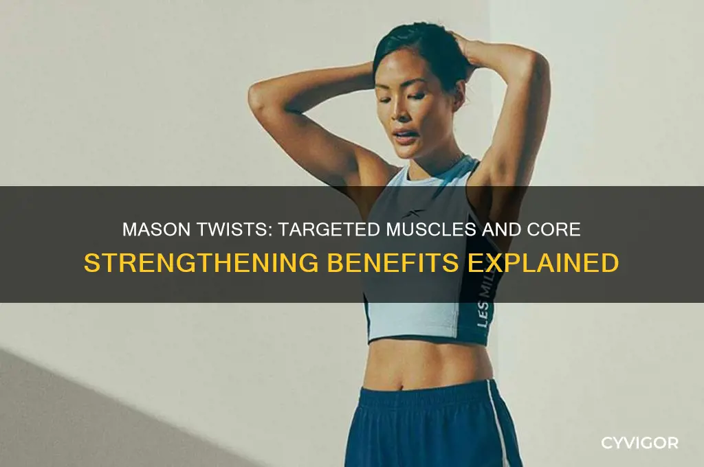 what muscles do mason twists work
