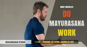 Mayurasana Muscles: Unlocking Core, Arm, and Shoulder Strength in Peacock Pose