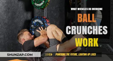 Medicine Ball Crunches: Targeted Muscles for Core Strength and Stability