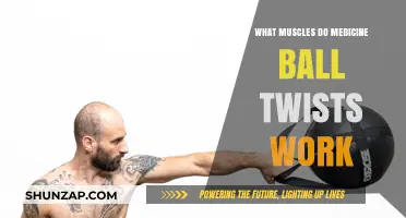 Medicine Ball Twists: Core Muscles Targeted and Benefits Explained