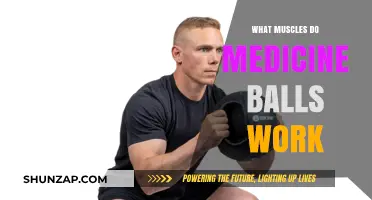 Medicine Balls: Target Muscles and Benefits for Full-Body Strength