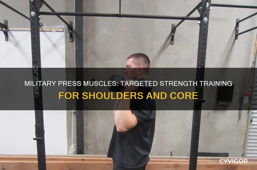 what muscles do military presses work