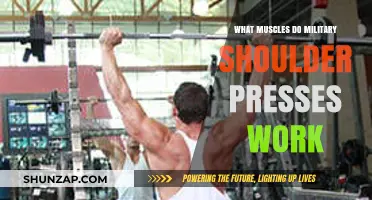 Military Shoulder Press: Targeted Muscles and Strength Benefits Explained