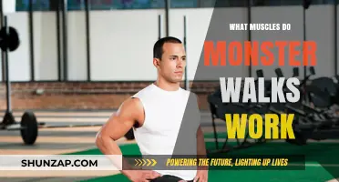 Monster Walks: Targeted Muscles and Benefits for Stronger Lower Body