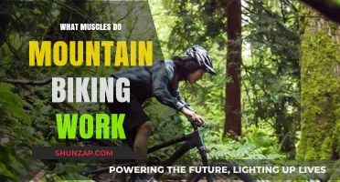 Mountain Biking Muscles: A Full-Body Workout Explained