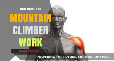 Mountain Climbers: Target Muscles and Full-Body Benefits Explained