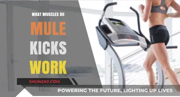 Mule Kicks: Targeted Muscles and Fitness Benefits Explained