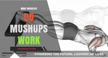 Muscle Groups Targeted by Push-Ups: A Comprehensive Breakdown