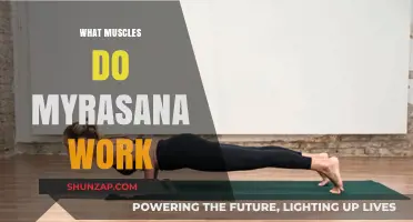 Myrasana Muscles: Unlocking Strength and Flexibility in Key Body Areas