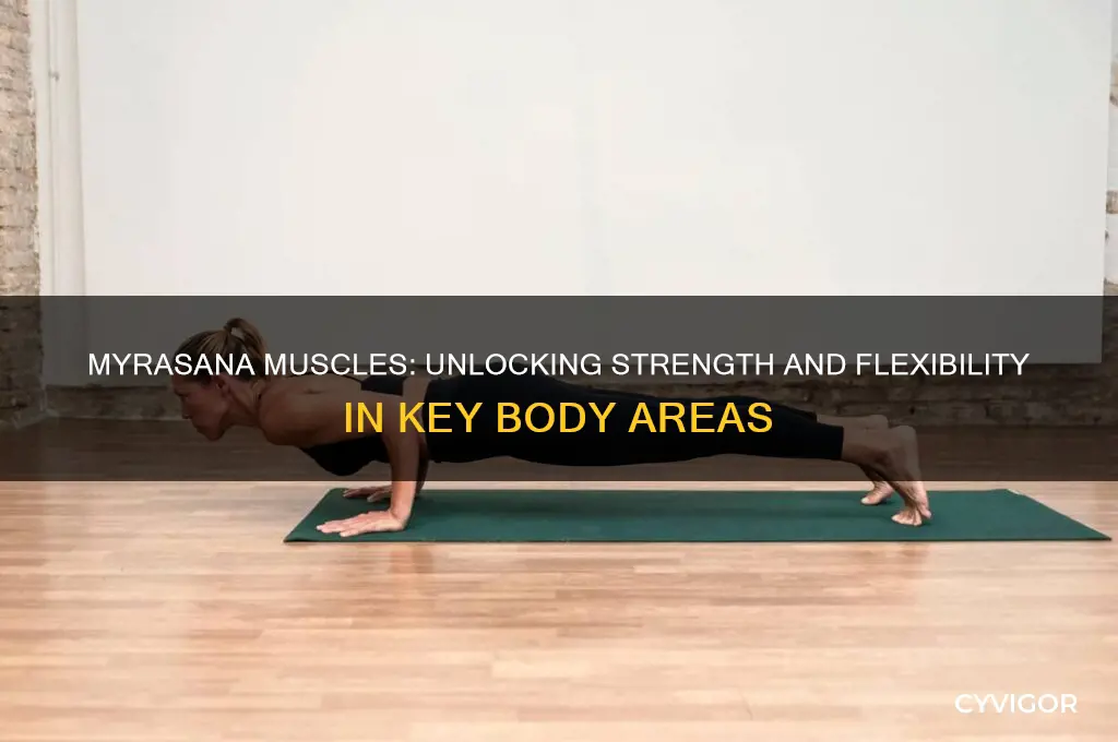 what muscles do myrasana work