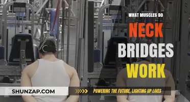 Neck Bridges: Unlocking Strength in Your Neck and Upper Back Muscles